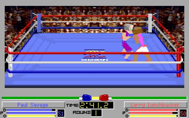 4-D Sports boxing screenshot