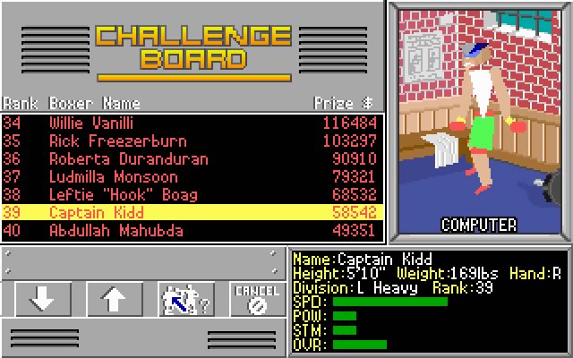 4-D Sports boxing screenshot