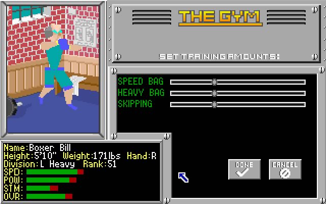 4-D Sports boxing screenshot
