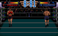 3d-world-boxing-02.jpg for DOS