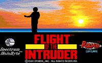 flight-of-the-intruder-01.jpg for DOS