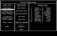 hockey-league-simulator-02a.jpg - DOS