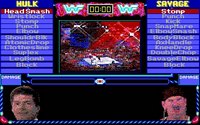microleaguewrestling2-3.jpg for DOS