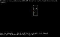 nethack-1.jpg - DOS