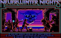 neverwinternights-splash.jpg for DOS