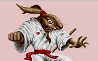 ninja-rabbits-1.jpg for DOS