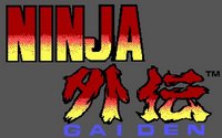 ninjagaiden-splash.jpg for DOS
