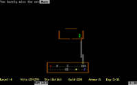 rogue-6.jpg for DOS