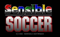 sensiblesoccer-splash.jpg for DOS