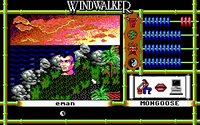 windwalker-5.jpg for DOS