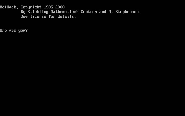 nethack screenshot for dos