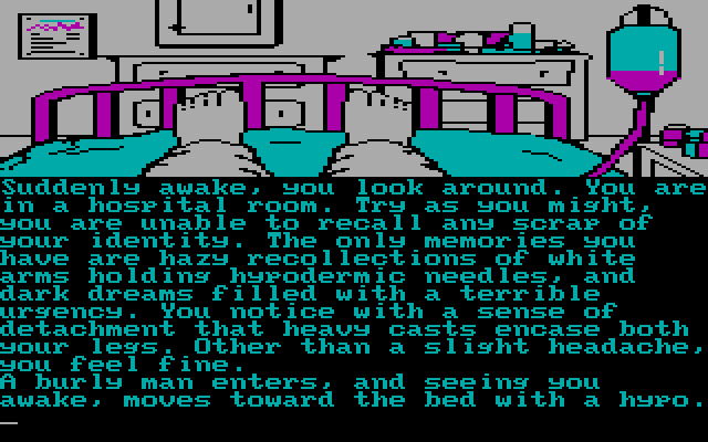 9-princes-in-amber screenshot for dos