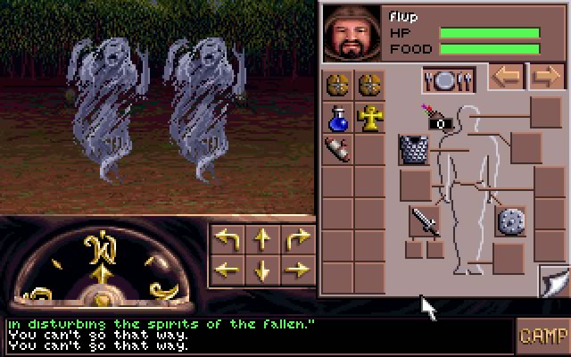 Eye of the beholder 3: Assault on Myth Drannor screenshot