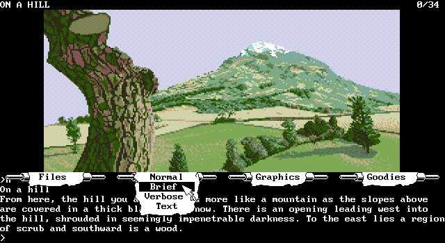 the-guild-of-thieves screenshot for dos