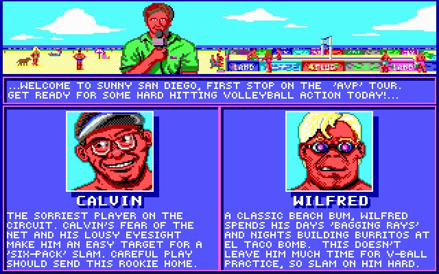 kings-of-the-beach screenshot for dos