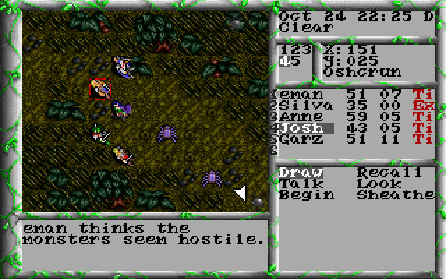 the-magic-candle-3 screenshot for dos