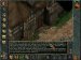 Baldur's Gate