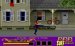 Surf Ninjas