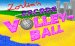 Zorlim's Arcade Volleyball