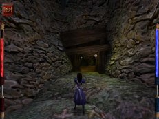 alice-mcgee-02.jpg - Windows XP/98/95