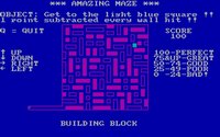 amazingmaze-2.jpg - DOS