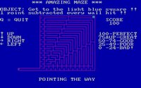 amazingmaze-3.jpg - DOS