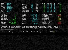 angband-dos-02.jpg - DOS
