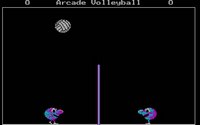 arcade-volleyball-1.jpg