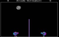 arcade-volleyball-1.jpg for DOS