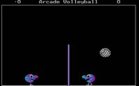 arcade-volleyball-2.jpg - DOS