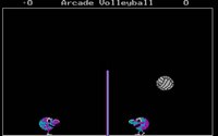 arcade-volleyball-2.jpg for DOS