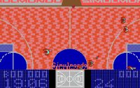 basket-master-05.jpg for DOS