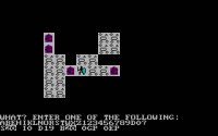 beneath-apple-manor-07.jpg for DOS