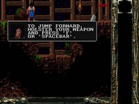 blackthorne-2.jpg - DOS