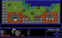 dungeon-explorer-05.jpg for DOS