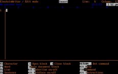 einstein-writer-02.jpg - DOS