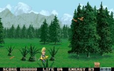entity-01.jpg - DOS