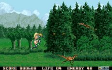 entity-03.jpg - DOS
