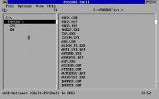 freedos-shell-01.jpg - DOS