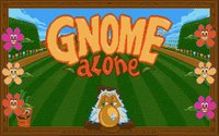 gnome-alone-01
