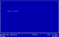 ibm-filing-assistant-05.jpg - DOS