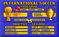 international-soccer-challenge
