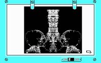 lifedeath-4.jpg for DOS