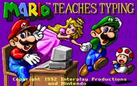 mariotyping-splash.jpg - DOS