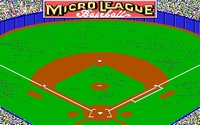 microleague-baseball-2-01.jpg for DOS