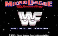 microleaguewrestling2-splash.jpg - DOS