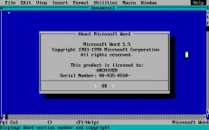 msword5-5-01.jpg - DOS
