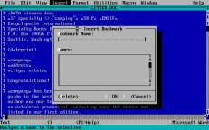 msword5-5-03.jpg - DOS
