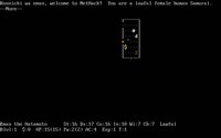 nethack