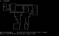 nethack-2.jpg - DOS